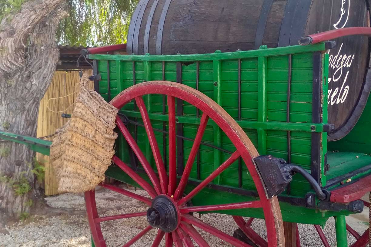 Vue du port depuis les remparts du Chateau Santa Barbara